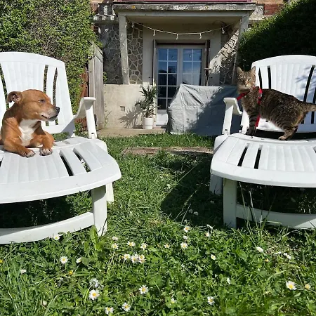 Apartment Pet-friendly Proche